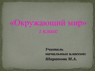 Презентация Почему солнце светит днём, а звёзды - ночью?