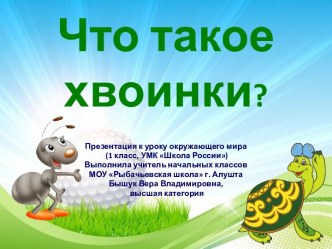 Презентация к уроку окружающего мира в 1 классе Что такое хвоинки?