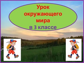 Презентация урока окружающего мира Холмы и овраги, 3 класс