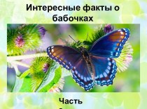 Презентация Интересные факты о бабочках. Часть 2