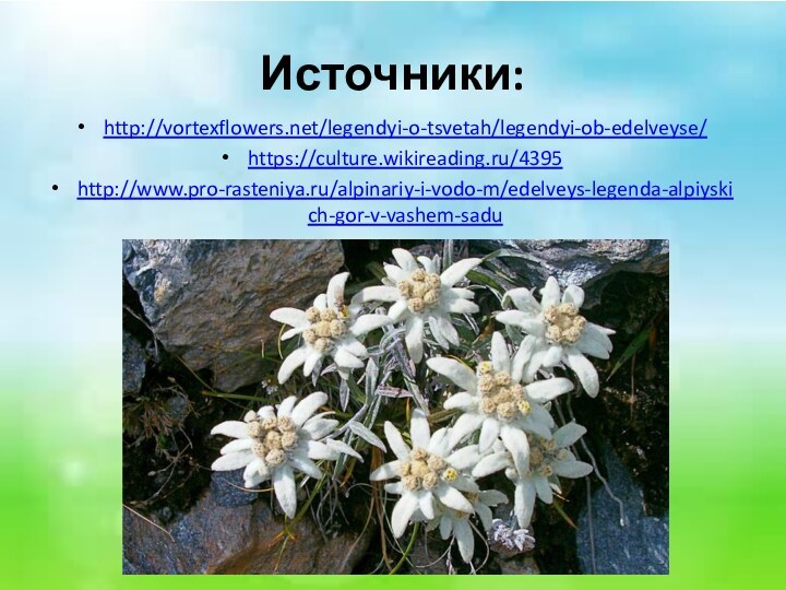 Источники:http://vortexflowers.net/legendyi-o-tsvetah/legendyi-ob-edelveyse/https://culture.wikireading.ru/4395http://www.pro-rasteniya.ru/alpinariy-i-vodo-m/edelveys-legenda-alpiyskich-gor-v-vashem-sadu