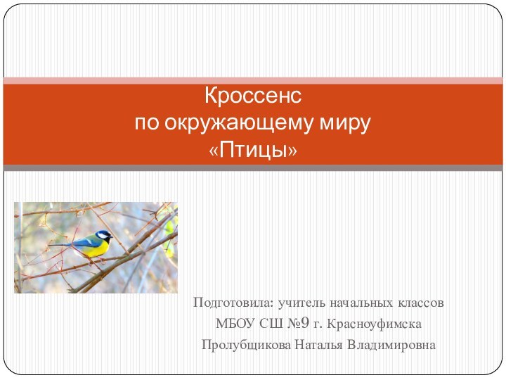 Подготовила: учитель начальных классов МБОУ СШ №9 г. КрасноуфимскаПролубщикова Наталья ВладимировнаКроссенс