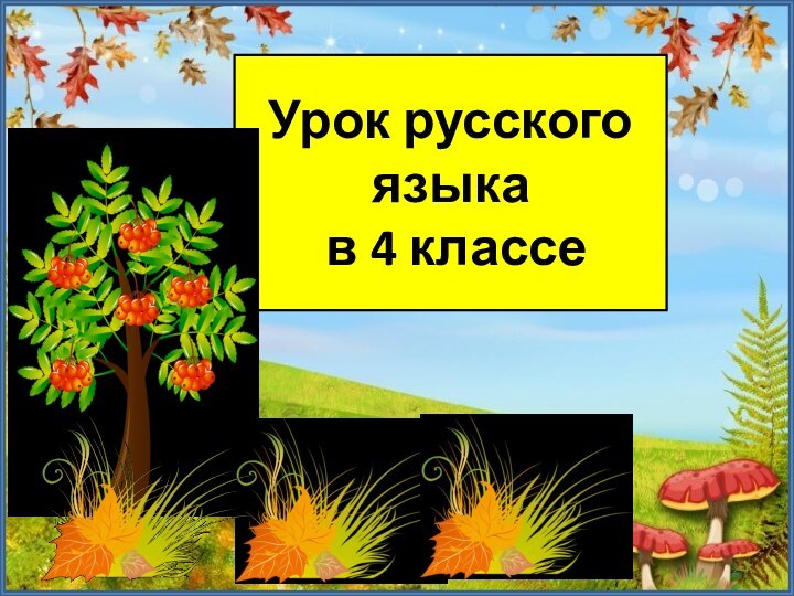 Урок русского языка в 4 классе