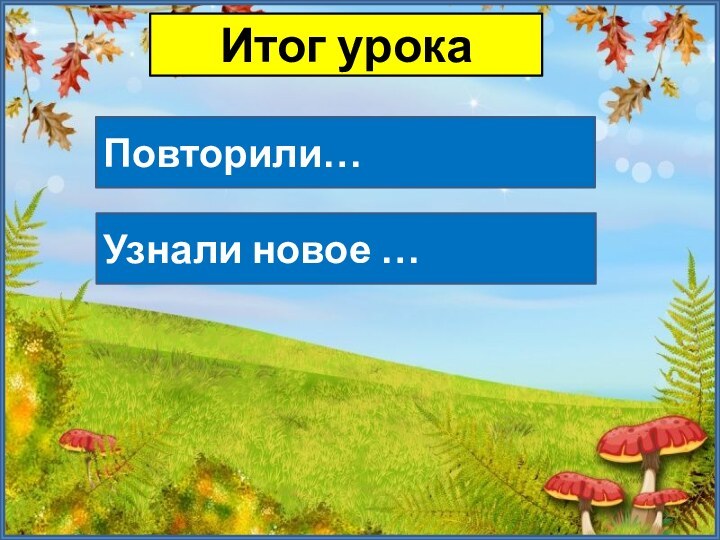 Итог урокаПовторили…Узнали новое …