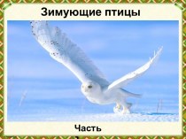 Презентация Зимующие птицы, (часть 2)