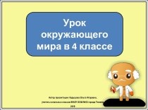 Презентация к уроку окружающего мира Путешествие в мир клеток, 4 класс