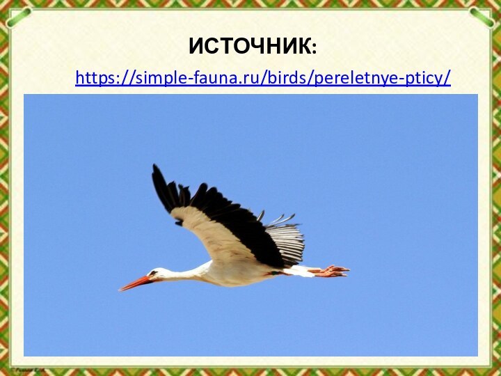 ИСТОЧНИК:https://simple-fauna.ru/birds/pereletnye-pticy/