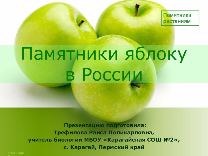 Памятники яблоку в России Презентацию подготовила:Трефилова Раиса Поликарповна,учитель биологии МБОУ «Карагайская СОШ