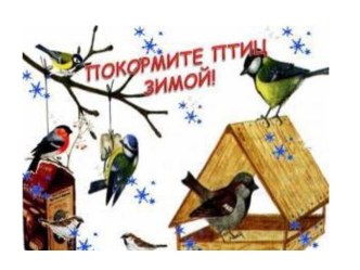 Презентация-отчет о проведенной акции Покормите птиц зимой