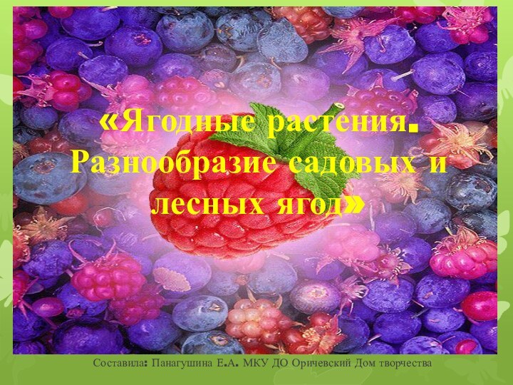 «Ягодные растения.  Разнообразие садовых и лесных ягод» Составила: Панагушина Е.А. МКУ ДО Оричевский Дом творчества