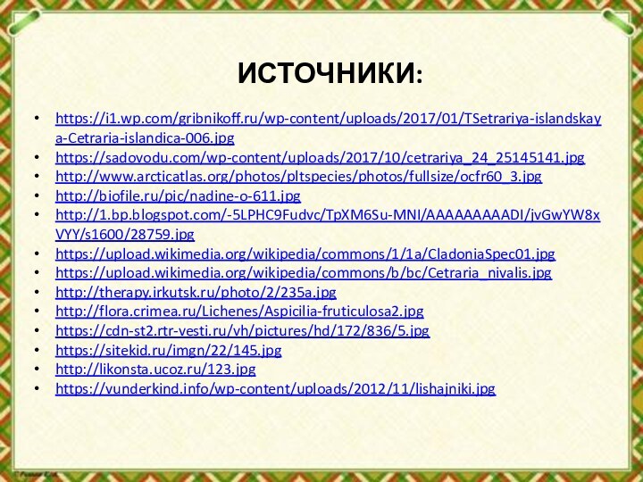 ИСТОЧНИКИ:https://i1.wp.com/gribnikoff.ru/wp-content/uploads/2017/01/TSetrariya-islandskaya-Cetraria-islandica-006.jpghttps://sadovodu.com/wp-content/uploads/2017/10/cetrariya_24_25145141.jpghttp://www.arcticatlas.org/photos/pltspecies/photos/fullsize/ocfr60_3.jpghttp://biofile.ru/pic/nadine-o-611.jpghttp://1.bp.blogspot.com/-5LPHC9Fudvc/TpXM6Su-MNI/AAAAAAAAADI/jvGwYW8xVYY/s1600/28759.jpghttps://upload.wikimedia.org/wikipedia/commons/1/1a/CladoniaSpec01.jpghttps://upload.wikimedia.org/wikipedia/commons/b/bc/Cetraria_nivalis.jpghttp://therapy.irkutsk.ru/photo/2/235a.jpghttp://flora.crimea.ru/Lichenes/Aspicilia-fruticulosa2.jpghttps://cdn-st2.rtr-vesti.ru/vh/pictures/hd/172/836/5.jpghttps://sitekid.ru/imgn/22/145.jpghttp://likonsta.ucoz.ru/123.jpghttps://vunderkind.info/wp-content/uploads/2012/11/lishajniki.jpg