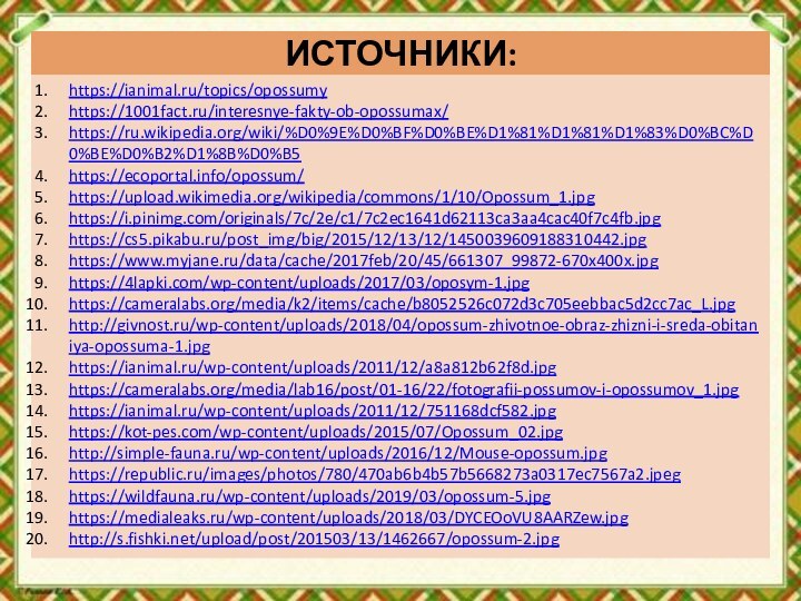 ИСТОЧНИКИ:https://ianimal.ru/topics/opossumyhttps://1001fact.ru/interesnye-fakty-ob-opossumax/https://ru.wikipedia.org/wiki/%D0%9E%D0%BF%D0%BE%D1%81%D1%81%D1%83%D0%BC%D0%BE%D0%B2%D1%8B%D0%B5https://ecoportal.info/opossum/https://upload.wikimedia.org/wikipedia/commons/1/10/Opossum_1.jpghttps://i.pinimg.com/originals/7c/2e/c1/7c2ec1641d62113ca3aa4cac40f7c4fb.jpghttps://cs5.pikabu.ru/post_img/big/2015/12/13/12/1450039609188310442.jpghttps://www.myjane.ru/data/cache/2017feb/20/45/661307_99872-670x400x.jpghttps://4lapki.com/wp-content/uploads/2017/03/oposym-1.jpghttps://cameralabs.org/media/k2/items/cache/b8052526c072d3c705eebbac5d2cc7ac_L.jpghttp://givnost.ru/wp-content/uploads/2018/04/opossum-zhivotnoe-obraz-zhizni-i-sreda-obitaniya-opossuma-1.jpghttps://ianimal.ru/wp-content/uploads/2011/12/a8a812b62f8d.jpghttps://cameralabs.org/media/lab16/post/01-16/22/fotografii-possumov-i-opossumov_1.jpghttps://ianimal.ru/wp-content/uploads/2011/12/751168dcf582.jpghttps://kot-pes.com/wp-content/uploads/2015/07/Opossum_02.jpghttp://simple-fauna.ru/wp-content/uploads/2016/12/Mouse-opossum.jpghttps://republic.ru/images/photos/780/470ab6b4b57b5668273a0317ec7567a2.jpeghttps://wildfauna.ru/wp-content/uploads/2019/03/opossum-5.jpghttps://medialeaks.ru/wp-content/uploads/2018/03/DYCEOoVU8AARZew.jpghttp://s.fishki.net/upload/post/201503/13/1462667/opossum-2.jpg