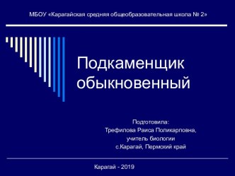 Образовательный ресурс Подкаменщик обыкновенный