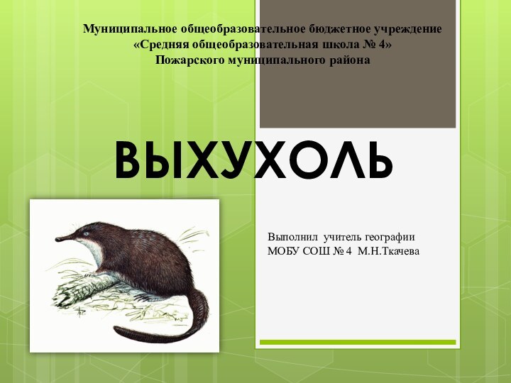 Муниципальное общеобразовательное бюджетное учреждение «Средняя общеобразовательная школа № 4»Пожарского муниципального районаВЫХУХОЛЬВыполнил учитель