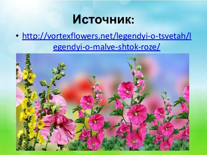 Источник:http://vortexflowers.net/legendyi-o-tsvetah/legendyi-o-malve-shtok-roze/