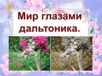 Мир глазами дальтоника