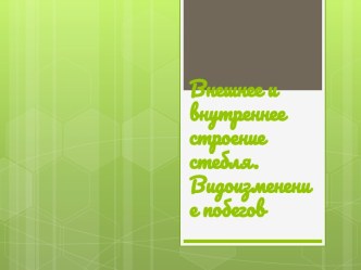 Методический материал по теме Внешние и внутренние строение стебля. Видоизменение побегов