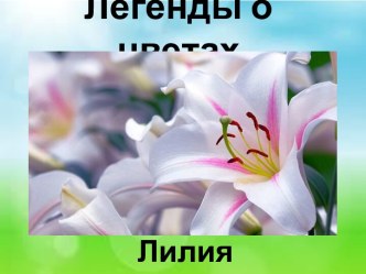 Презентация Легенды о цветах. Лилия