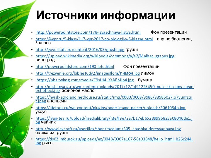 Источники информации http://powerpointstore.com/178-izyaschnaya-listva.html     Фон презентацииhttps://4vpr.ru/5-klass/117-vpr-2017-po-biologii-v-5-klasse.html  впр по