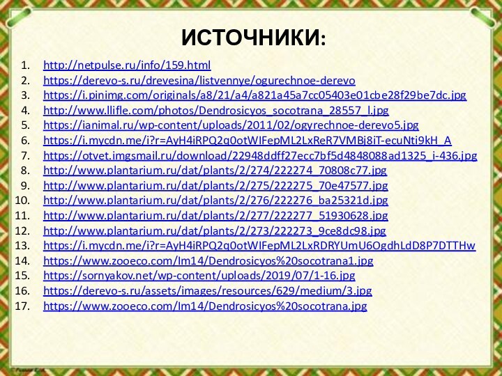 ИСТОЧНИКИ:http://netpulse.ru/info/159.htmlhttps://derevo-s.ru/drevesina/listvennye/ogurechnoe-derevohttps://i.pinimg.com/originals/a8/21/a4/a821a45a7cc05403e01cbe28f29be7dc.jpghttp://www.llifle.com/photos/Dendrosicyos_socotrana_28557_l.jpghttps://ianimal.ru/wp-content/uploads/2011/02/ogyrechnoe-derevo5.jpghttps://i.mycdn.me/i?r=AyH4iRPQ2q0otWIFepML2LxReR7VMBj8iT-ecuNti9kH_Ahttps://otvet.imgsmail.ru/download/22948ddff27ecc7bf5d4848088ad1325_i-436.jpghttp://www.plantarium.ru/dat/plants/2/274/222274_70808c77.jpghttp://www.plantarium.ru/dat/plants/2/275/222275_70e47577.jpghttp://www.plantarium.ru/dat/plants/2/276/222276_ba25321d.jpghttp://www.plantarium.ru/dat/plants/2/277/222277_51930628.jpghttp://www.plantarium.ru/dat/plants/2/273/222273_9ce8dc98.jpghttps://i.mycdn.me/i?r=AyH4iRPQ2q0otWIFepML2LxRDRYUmU6OgdhLdD8P7DTTHwhttps://www.zooeco.com/Im14/Dendrosicyos%20socotrana1.jpghttps://sornyakov.net/wp-content/uploads/2019/07/1-16.jpghttps://derevo-s.ru/assets/images/resources/629/medium/3.jpghttps://www.zooeco.com/Im14/Dendrosicyos%20socotrana.jpg