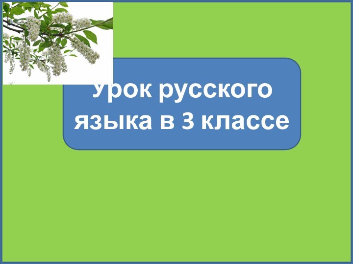 Урок русского языка в 3 классе