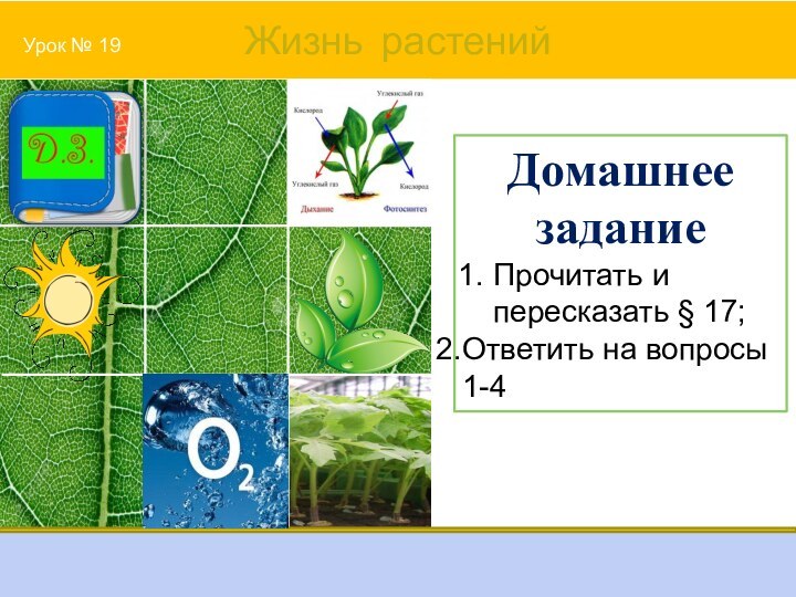 Домашнее заданиеПрочитать и пересказать § 17;Ответить на вопросы 1-4 Урок № 19