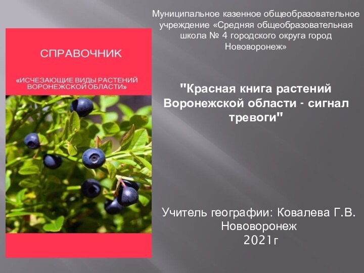 Учитель географии: Ковалева Г.В.Нововоронеж 2021гМуниципальное казенное общеобразовательное учреждение «Средняя общеобразовательная школа №