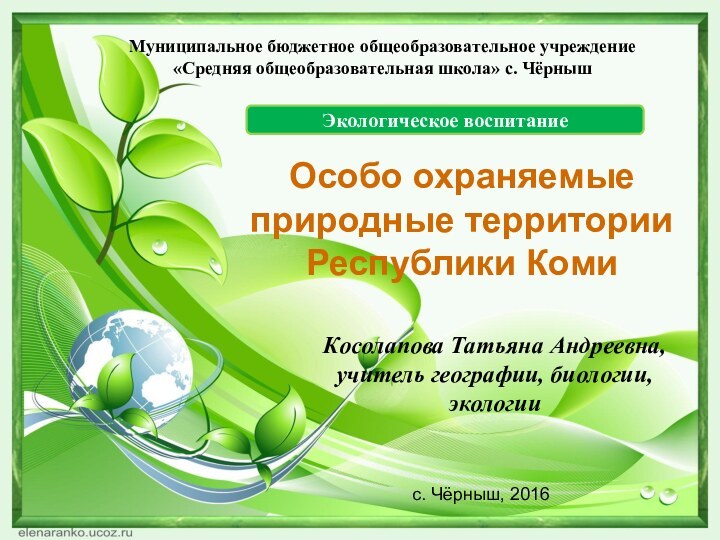 Косолапова Татьяна Андреевна, учитель географии, биологии, экологииОсобо охраняемые природные территории Республики КомиМуниципальное