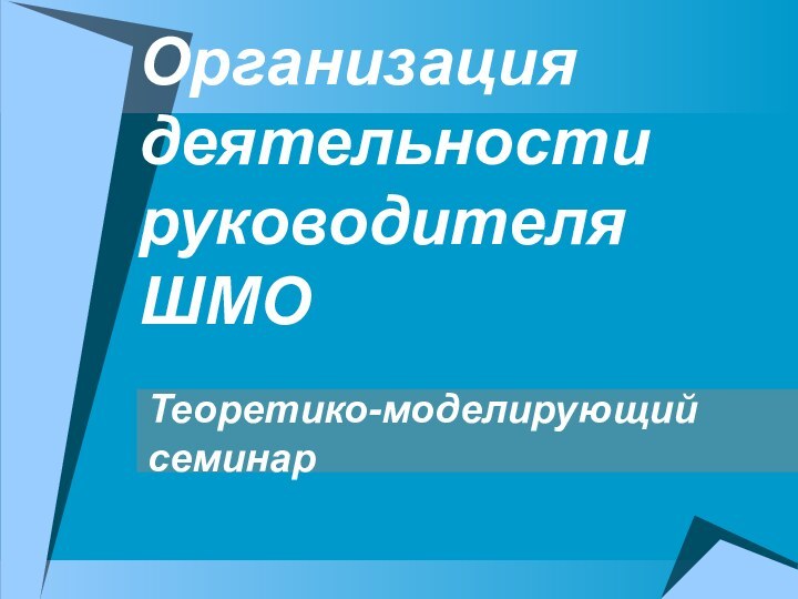 Организация деятельности руководителя ШМОТеоретико-моделирующий семинар