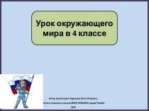 Презентация к уроку окружающего мира Границы России, 4 класс