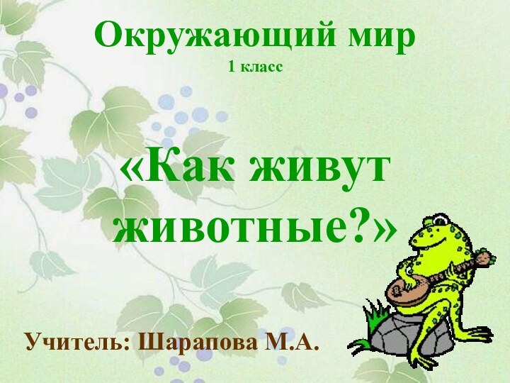 Окружающий мир 1 класс  «Как живут животные?»Учитель: Шарапова М.А.