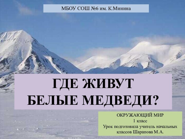 МБОУ СОШ №6 им. К.МининаОКРУЖАЮЩИЙ МИР1 классУрок подготовила учитель начальных классов Шарапова М.А.ГДЕ ЖИВУТ БЕЛЫЕ МЕДВЕДИ?