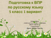 Презентация Готовимся к ВПР по русскому языку в 5 классе. Вариант 1