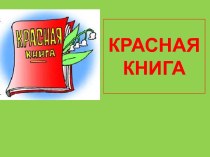 Урок Красная книга. Будь природе другом