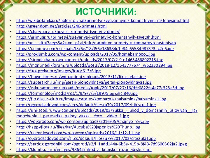 ИСТОЧНИКИ:http://wikibotanika.ru/polezno-znat/primetyi-svyazannyie-s-komnatnyimi-rasteniyami.htmlhttp://greendom.net/articles/246-primeta.htmlhttps://charybary.ru/poveria/primetyi-tsvetyi-v-dome/https://grimuar.ru/primetyi/sueveriya-i-primetyi-o-komnatnyih-tsvetah.htmlhttp://xn----dtbj7aegs3a2c.xn--p1ai/info/narodnye-primety-o-komnatnyh-rasteniyahhttps://i.pinimg.com/originals/f5/6e/18/f56e186384c1e84c65584987373ac2e6.jpghttp://proklumbu.com/wp-content/uploads/2017/05/homebamboo1.jpghttps://stopdacha.ru/wp-content/uploads/2017/07/2-9-e1463486892213.jpghttps://mon.medikforum.ru/uploads/posts/2018-12/1543777674_wp2330294.jpghttp://fitoapteka.org/images/foto/613/6.jpghttps://flowertimes.ru/wp-content/uploads/2013/11/fikus_elast.jpghttps://superarch.ru/img/geran-pionovidnaya/geran-pionovidnaya1.jpghttps://zakupator.com/uploads/media/topic/2017/07/27/16/dfe0822fa4a77c323a3d.jpghttps://fermer.blog/media/res/1/9/9/7/5/19975.pgzzhc.840.jpghttps://flo.discus-club.ru/images/stories/komnatnie/balsamina/balsamina1.jpghttp://ogorodsadovod.com/sites/default/files/u79/2017/09/hibiscus1.jpghttps://uni-seed.ru/wp-content/uploads/2019/03/Yukka_-_uhod_v_domashnih_usloviyah__razmnozhenie_i_peresadka_palmy_yukka__foto__video_1.jpghttps://vogorode.com/wp-content/uploads/2016/05/Chajnye-rozy.jpghttp://happyflora.ru/files/kar/Aucuba%20japonica%20Thunb..jpghttps://rastenievod.com/wp-content/uploads/2016/11/12-11.jpghttp://ogorodsadovod.com/sites/default/files/u79/2017/03/crassula1.jpghttps://static.ogorodniki.com/ogorod/a2/l_1add144a-6b3a-415b-8f43-7d9600302fa2.jpeghttps://klumba.guru/images/98642/uhod-za-kitaiskoi-rozoi-gibiskus.jpg
