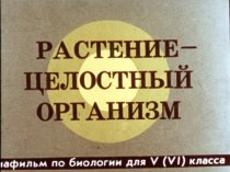 Презентация Растение целостный организм