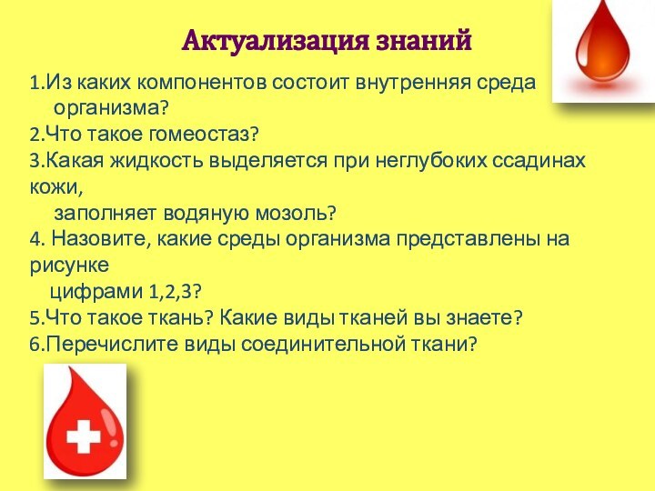 Актуализация знаний1.Из каких компонентов состоит внутренняя среда   организма?2.Что такое гомеостаз?3.Какая