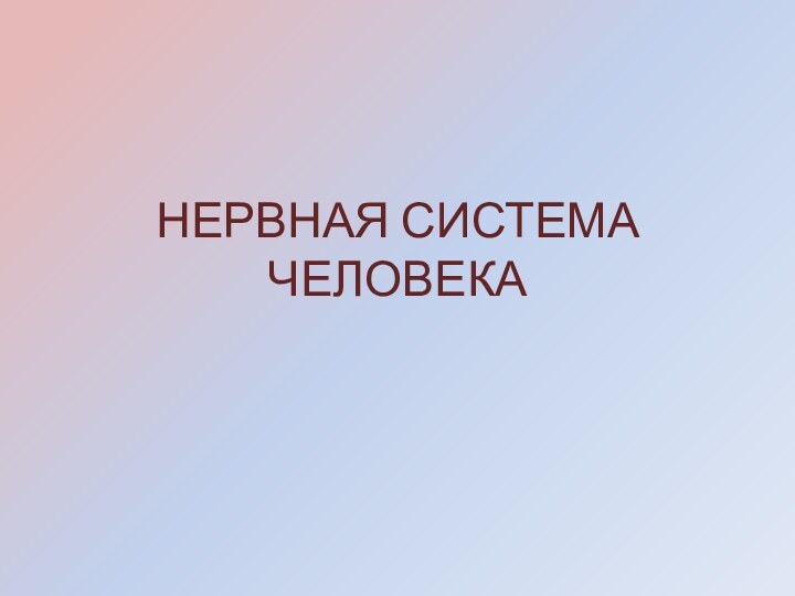 НЕРВНАЯ СИСТЕМА ЧЕЛОВЕКА