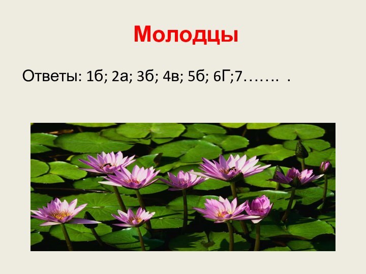 Молодцы Ответы: 1б; 2а; 3б; 4в; 5б; 6Г;7……. .