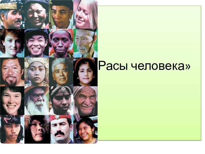 «Расы человека»