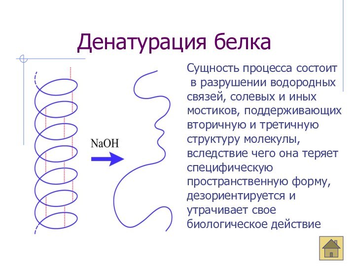 Денатурация белкаСущность процесса состоит в разрушении водородных связей, солевых и иных мостиков,