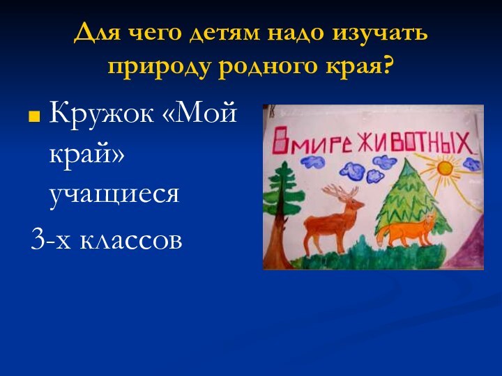 Для чего детям надо изучать  природу родного края?Кружок «Мой край» учащиеся 3-х классов