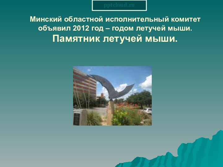 Минский областной исполнительный комитет объявил 2012 год – годом летучей мыши. Памятник летучей мыши.