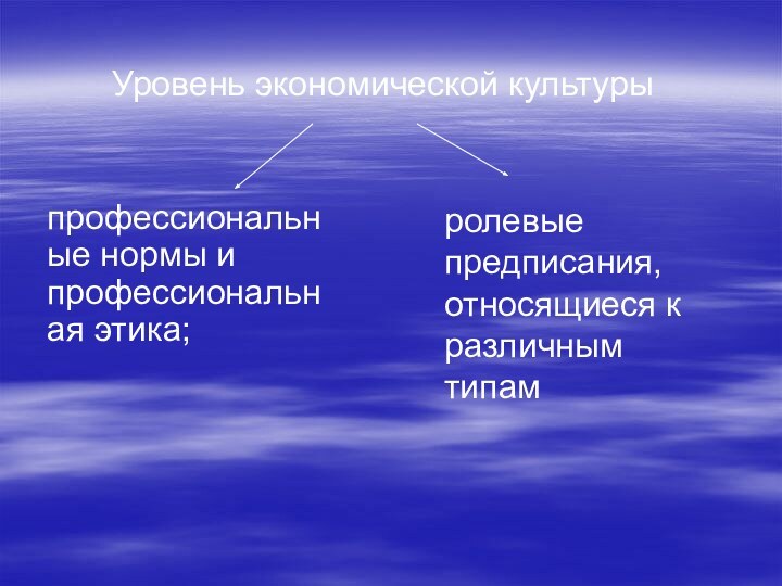 профессиональные нормы и профессиональная этика;ролевые предписания, относящиеся к различным типамУровень экономической культуры