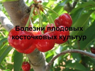 Болезни плодовых косточковых культур