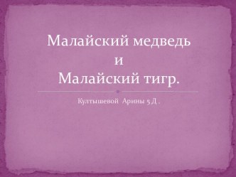 Малайский медведьиМалайский тигр.