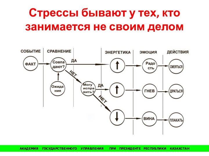 Стрессы бывают у тех, кто занимается не своим деломАКАДЕМИЯ  ГОСУДАРСТВЕННОГО