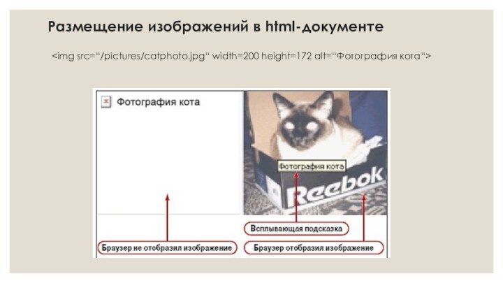 Размещение изображений в html-документе