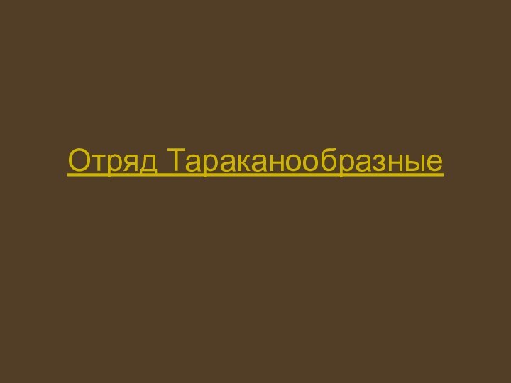 Отряд Тараканообразные