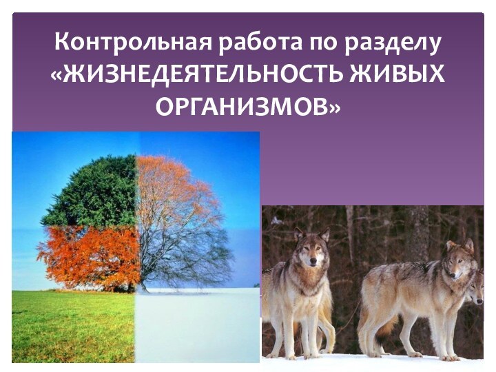 Контрольная работа по разделу «ЖИЗНЕДЕЯТЕЛЬНОСТЬ ЖИВЫХ ОРГАНИЗМОВ»